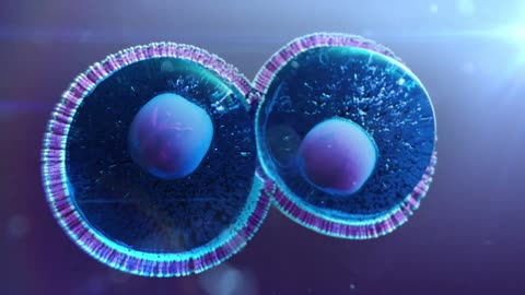 Mitosis 3D Animation
