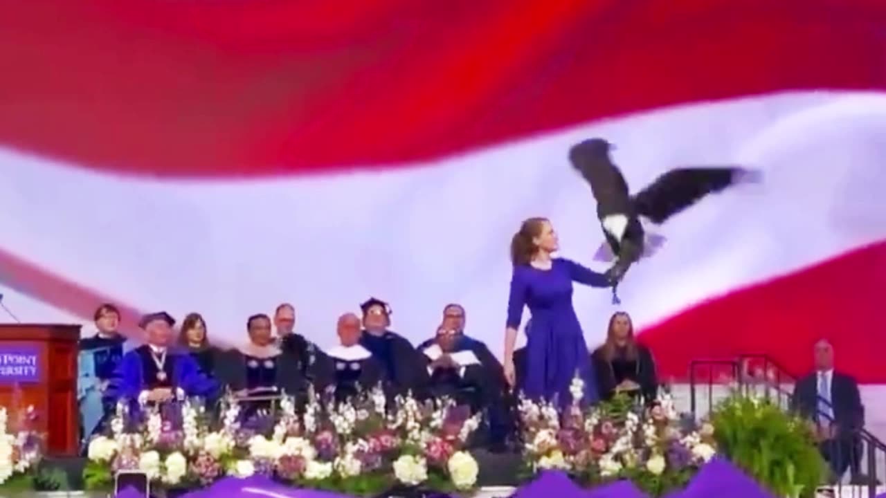 AMERICA IS BACK, BABY!!!😎🇺🇸🥳🥳🥳