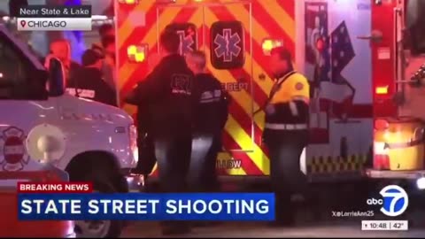 Multiple People Shot During Christmas Tree Lighting In Chicago
