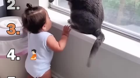 Ranking Best Cats Speaking English Moments