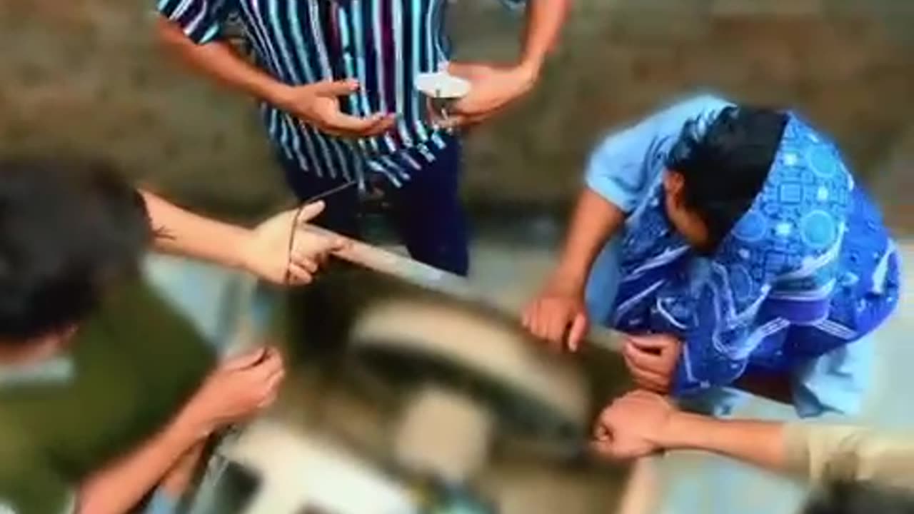 Funny videos All comedy