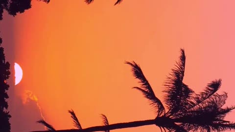Beautiful sunset video #sunset #nature #beautiful #relaxing #earth #island #stressrelief #mountain