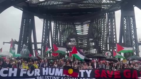 Pro-Palestine protesters shut down the Sydney Harbour Bridge