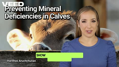 Preventing Mineral Deficiencies in Calves