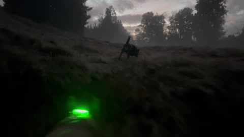 waynes park patrol in the mysterious fog 290832094823498