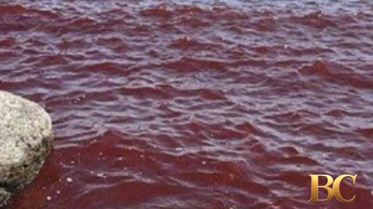 Locals panic as Sea of Galilee turns blood red in Biblical scenes