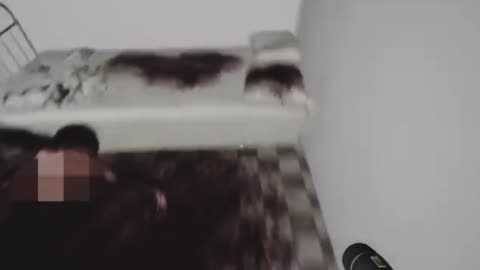 WhiteRoom Full Walkthrough No Commentary