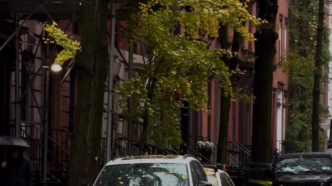 🍂🍂🍂fall in America 🇺🇸 🤩