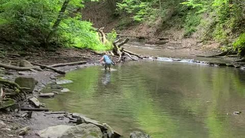 Grimes Glen Walking Trail Part 2