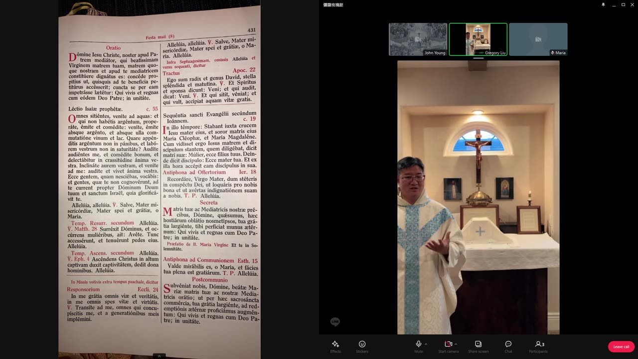 童貞聖母，諸寵之中保