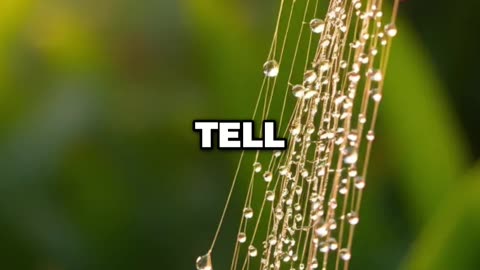 God Owns The Cattle On A Thousand Hills (So Why Are You Worried?)