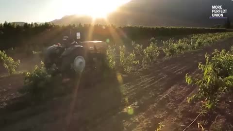 We Went to Arkansas. The Farm Crisis Will Shock You