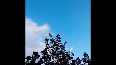White vinegar makes BLUE SKIES
