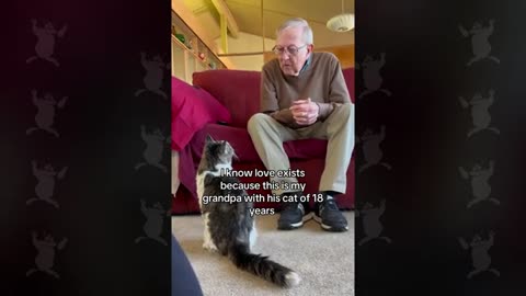 TRY NOT TO LAUGH 😆 Best Funny Videos Compilation 😂😁😆 Memes.
