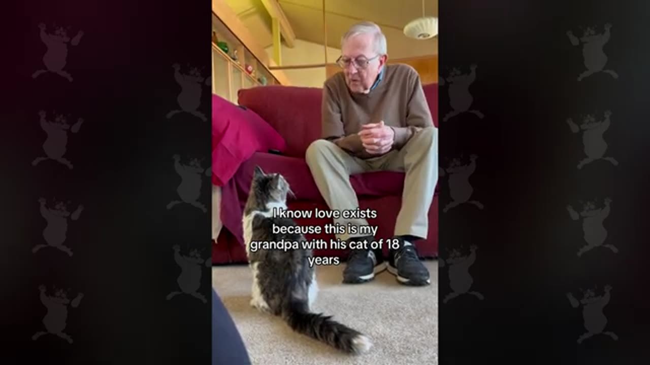 TRY NOT TO LAUGH 😆 Best Funny Videos Compilation 😂😁😆 Memes.