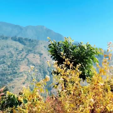 Beautiful nature view Nepal 🇳🇵