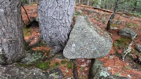 Rad Rock