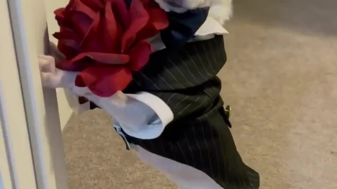 Prom Date