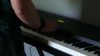 The PRO 1 Digital Piano!