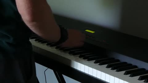 The PRO 1 Digital Piano!