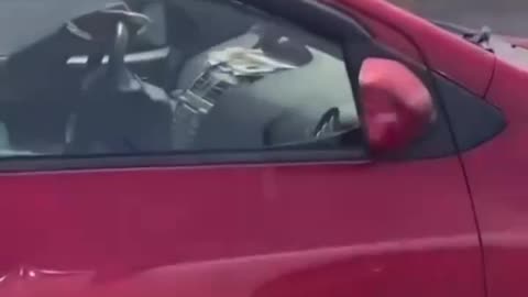 Don’t know what’s crazier 😂