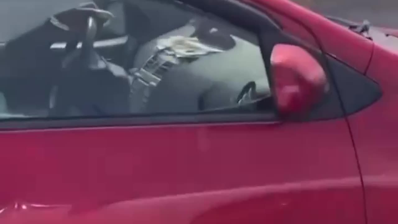 Don’t know what’s crazier 😂