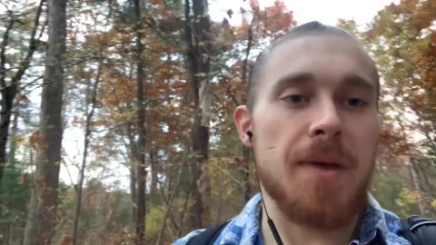 Magnesium Stearate Is In All My Supplements： Should I Be Concerned