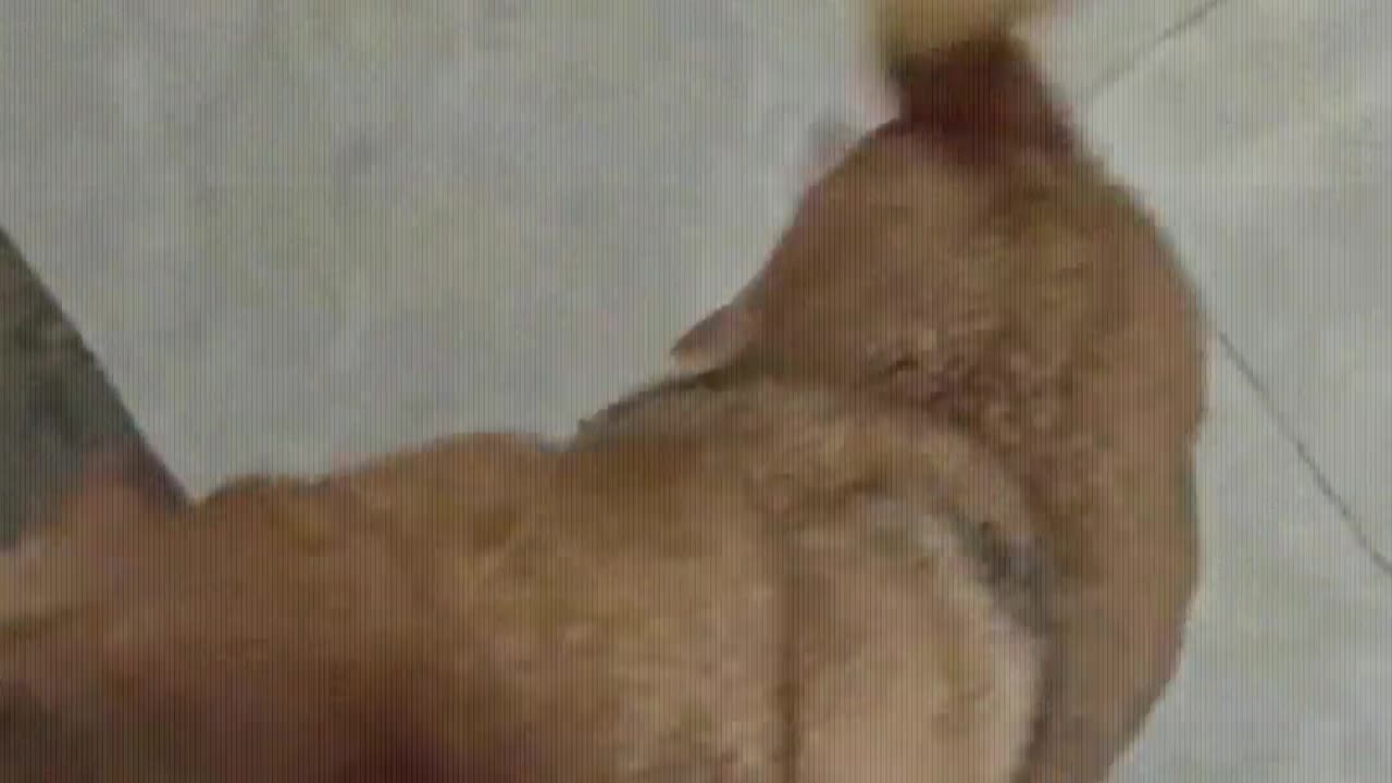 The puppy really loves me.