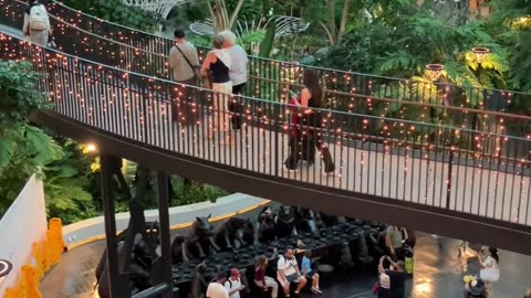 ✨🌳 This Airport Has a Hidden Forest! You Have to See It to Believe | FeedMyCuriosity