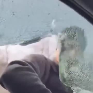 NEW: ICE agents break through car windows belonging to alleged Tren de Aragua gang members