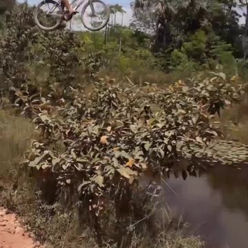 Bike jump into the water via a springboard