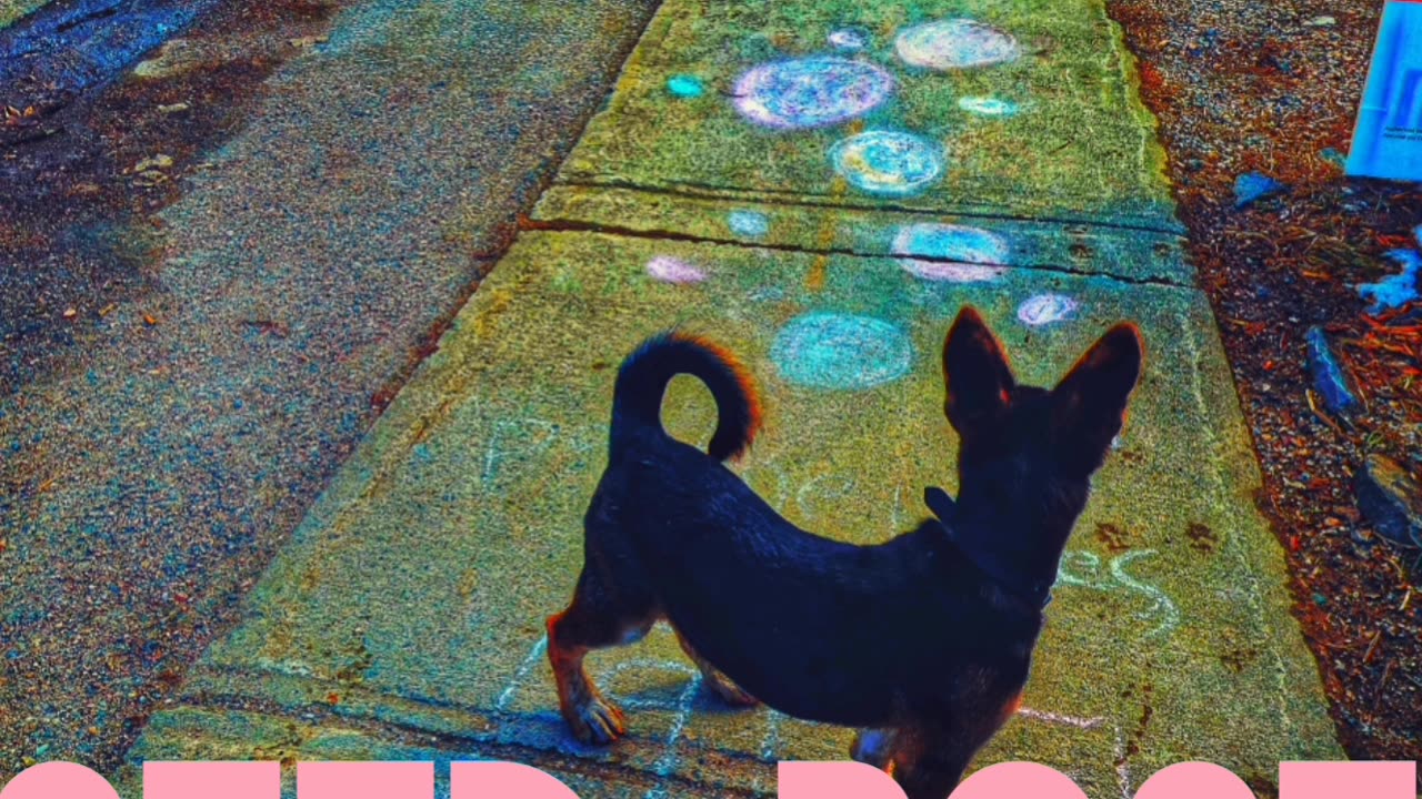 Iron sharpens iron- seed rose