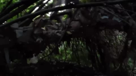 Ukrainian Rangers(DRG)Operate Behind Russian Lines with Ruthless Efficiency