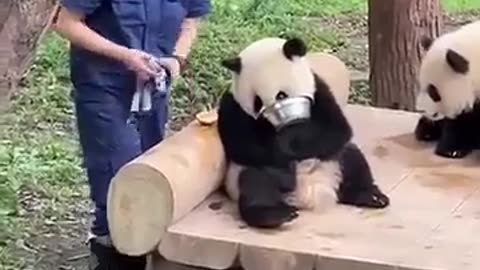 😅🧼 Hiding from the 'Bad Man' with a Wash Rag? You Have to See This! | FunFM