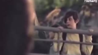 Bop