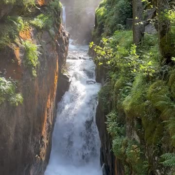 Roar of the Falls 💦🌿 | Sounds of Nature