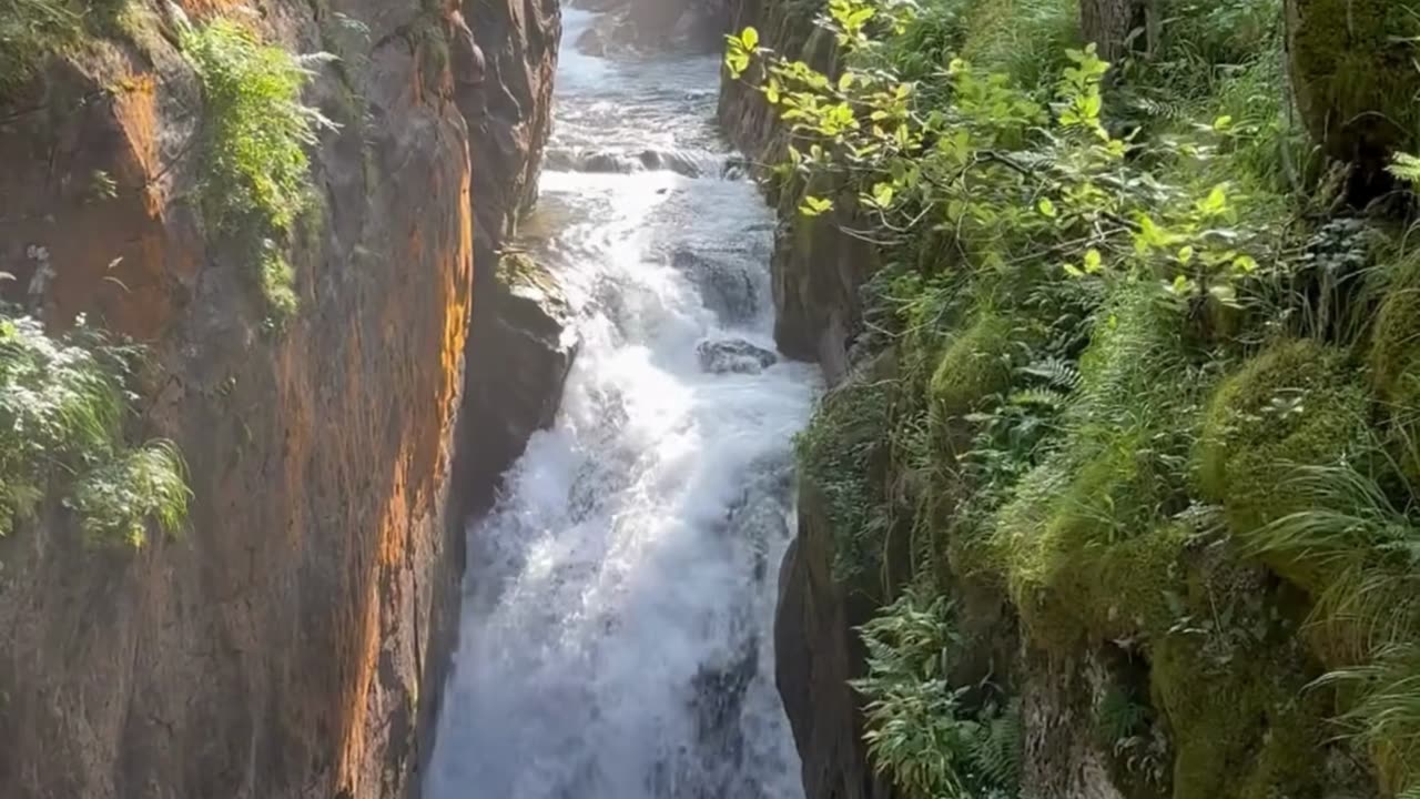 Roar of the Falls 💦🌿 | Sounds of Nature