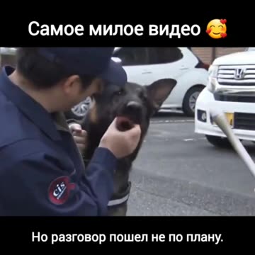 Just want to play catch 😊