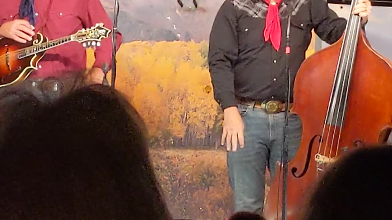 Bar D Wranglers: The Possum Sleeps Tonight