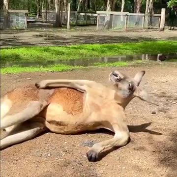 Can’t scratch an itch without someone filming it 🤣