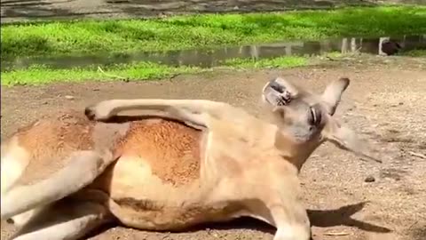 Can’t scratch an itch without someone filming it 🤣