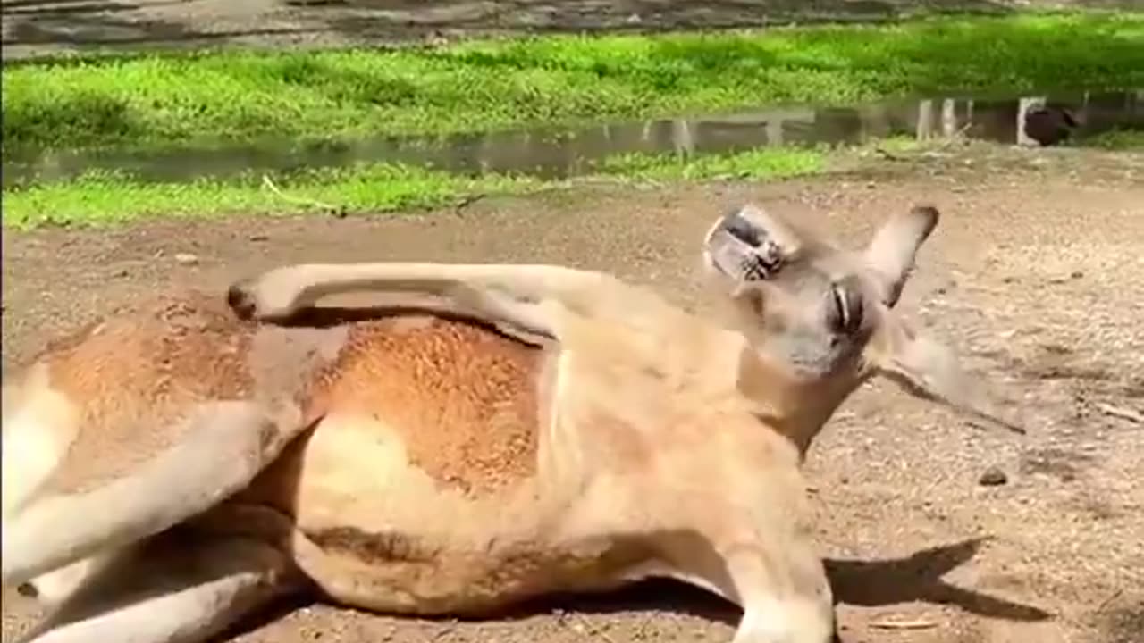 Can’t scratch an itch without someone filming it 🤣