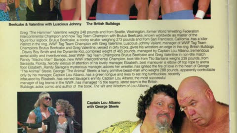 WrestleMania 2 program magazine