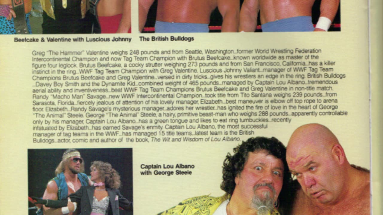 WrestleMania 2 program magazine