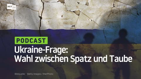 In der Ukraine-Frage muss die Wahl zwischen dem Spatzen und der Taube getroffen werden