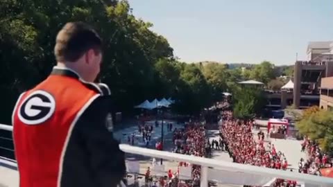 Georgia Bulldogs