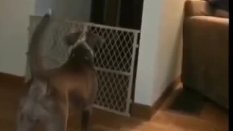 😨👻 What Is That Creepy Figure? | TheHauntingHour