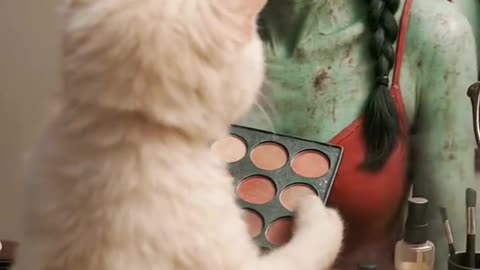 Cute Cat AI Reels /Short Videos Free for Reupload