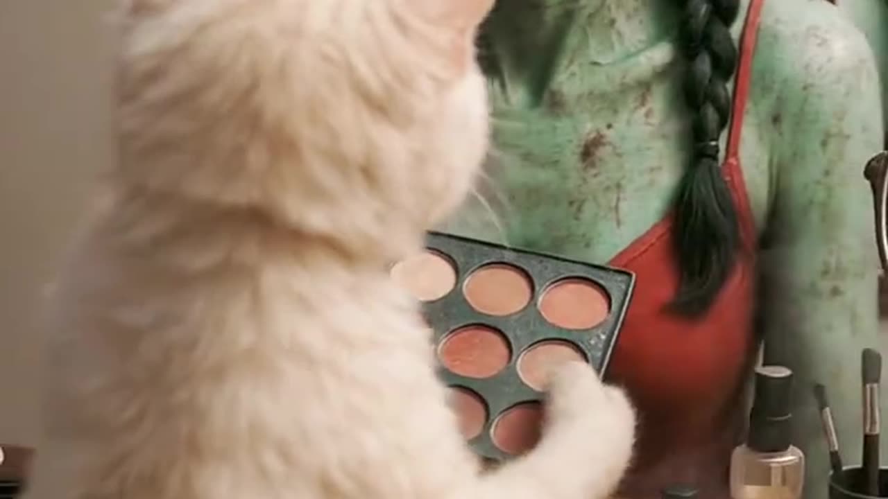 Cute Cat AI Reels /Short Videos Free for Reupload