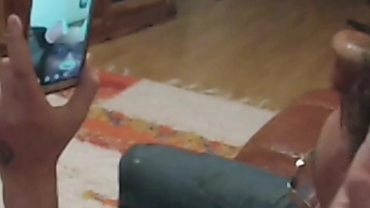 1st April 2018 indirect contact video call, part 2